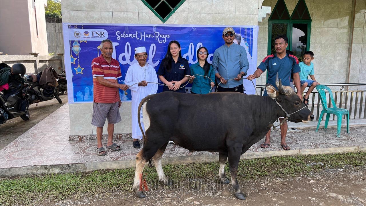 Eva Stevany Rataba Serahkan Bantuan Hewan Kurban di Toraja pada Idul Adha 1447 H