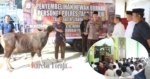 Idul Adha 1447 H, Polres Tana Toraja Sembelih Empat Ekor Sapi Kurban
