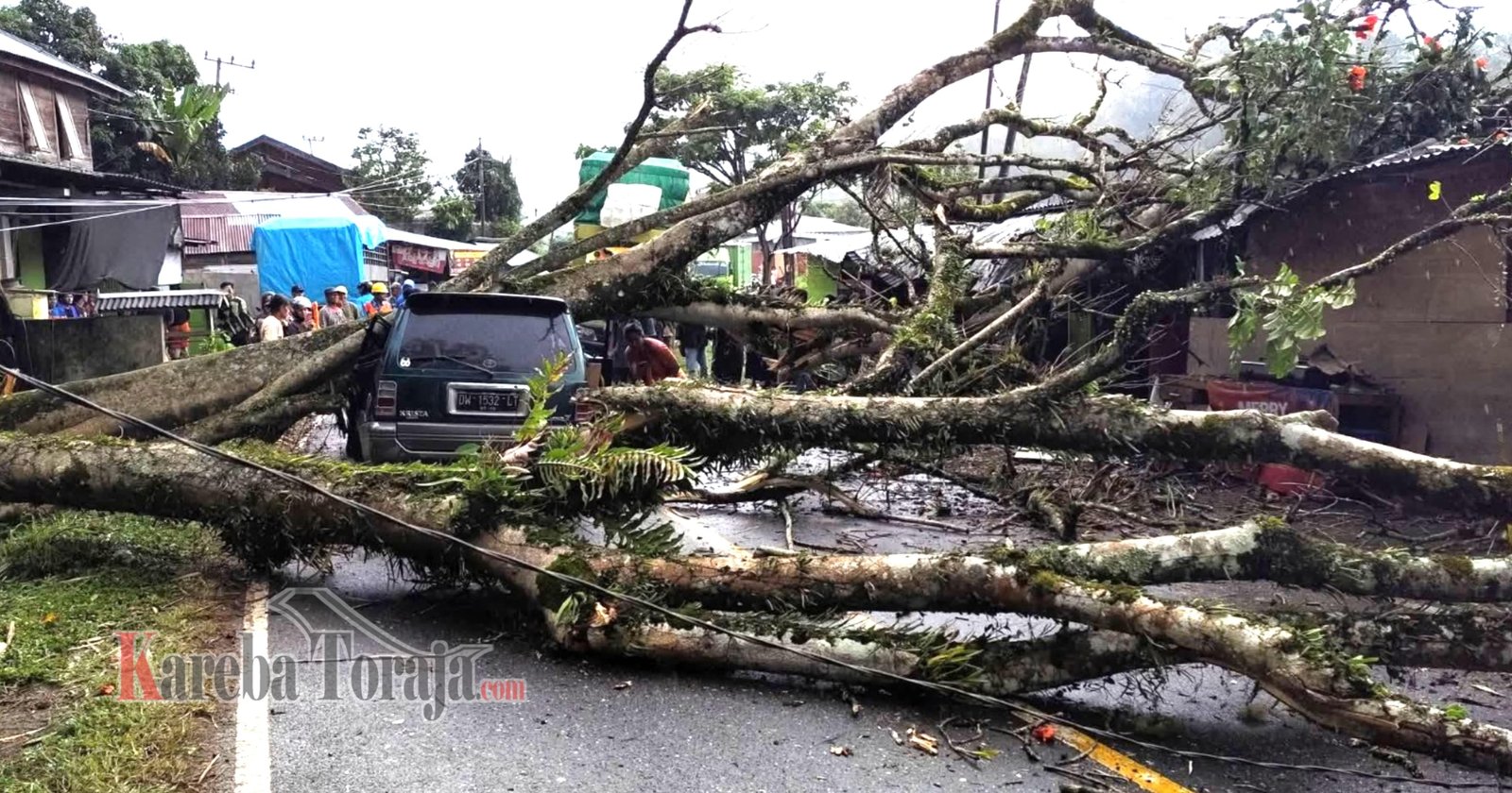 Pohon Tumbang di Mengkendek Timpa 1 Mobil Kijang dan 2 Rumah, 6 Orang Penumpang Luka