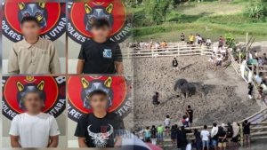 Berjudi di Arena Tedong Silaga Saloso, 4 Pria Ditangkap