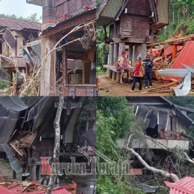 Pohon Tumbang di Lengkong Kapala Pitu Timpa 2 Rumah Toraja, 1 Lumbung dan 1 Rumah Panggung