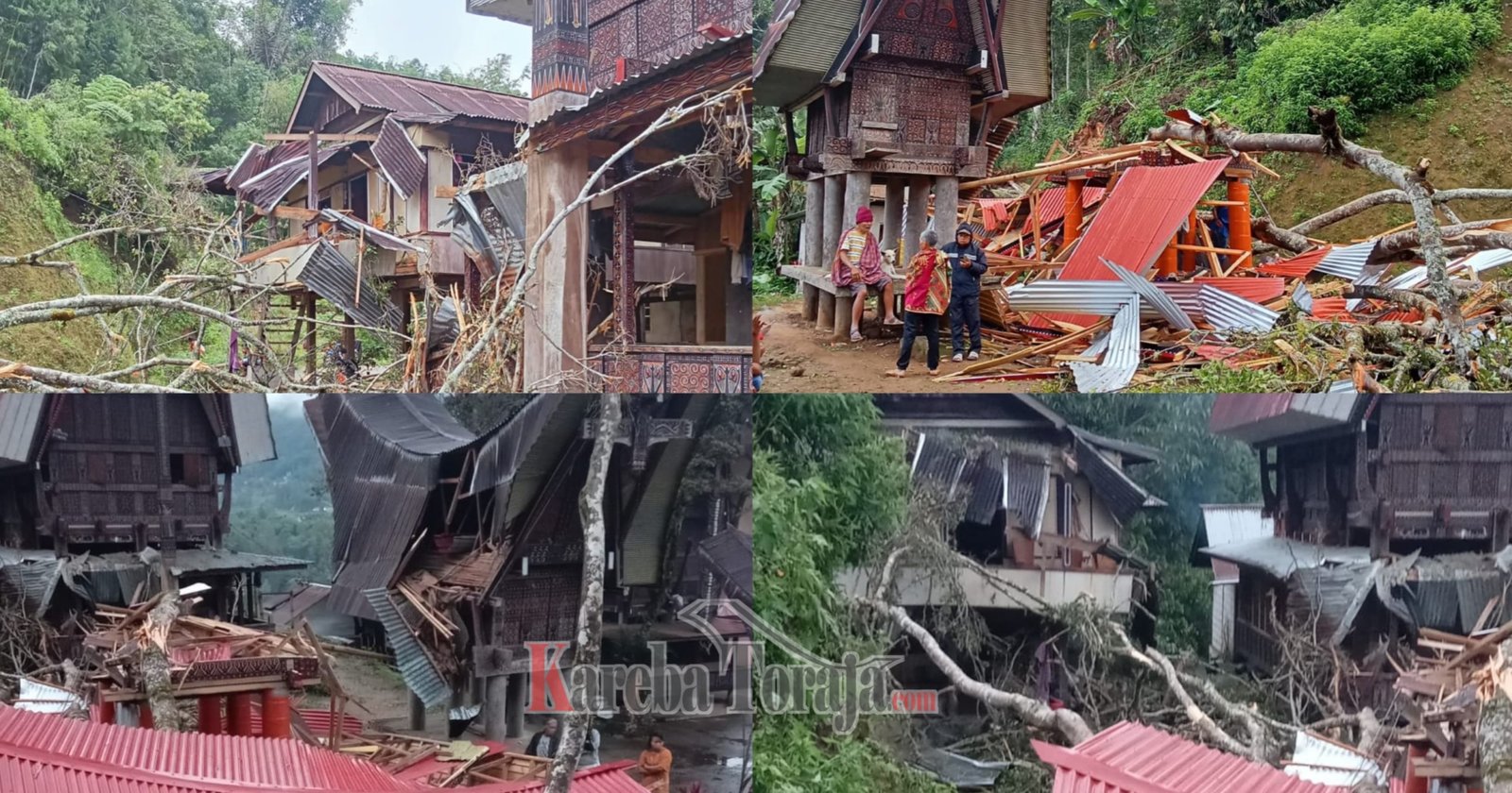 Pohon Tumbang di Lengkong Kapala Pitu Timpa 2 Rumah Toraja, 1 Lumbung dan 1 Rumah Panggung