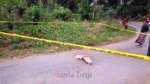 Polisi Kejar Terduga Pelaku Pembunuhan Pemuda di Tikala, Toraja Utara