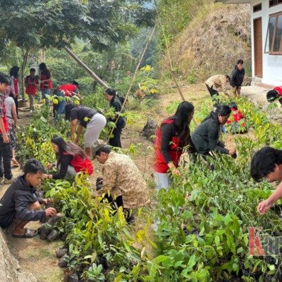 Mahasiswa KKNT 116 Unhas Ajak Warga Kelurahan Sandabilik Makale Selatan Tanam Pohon Buah dan Kayu