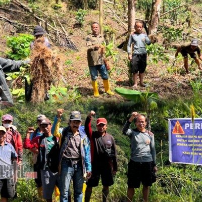 Masyarakat Adat Lembang Gasing Mengkendek Usir Paksa Penggarap yang Rusak Kawasan Hutan