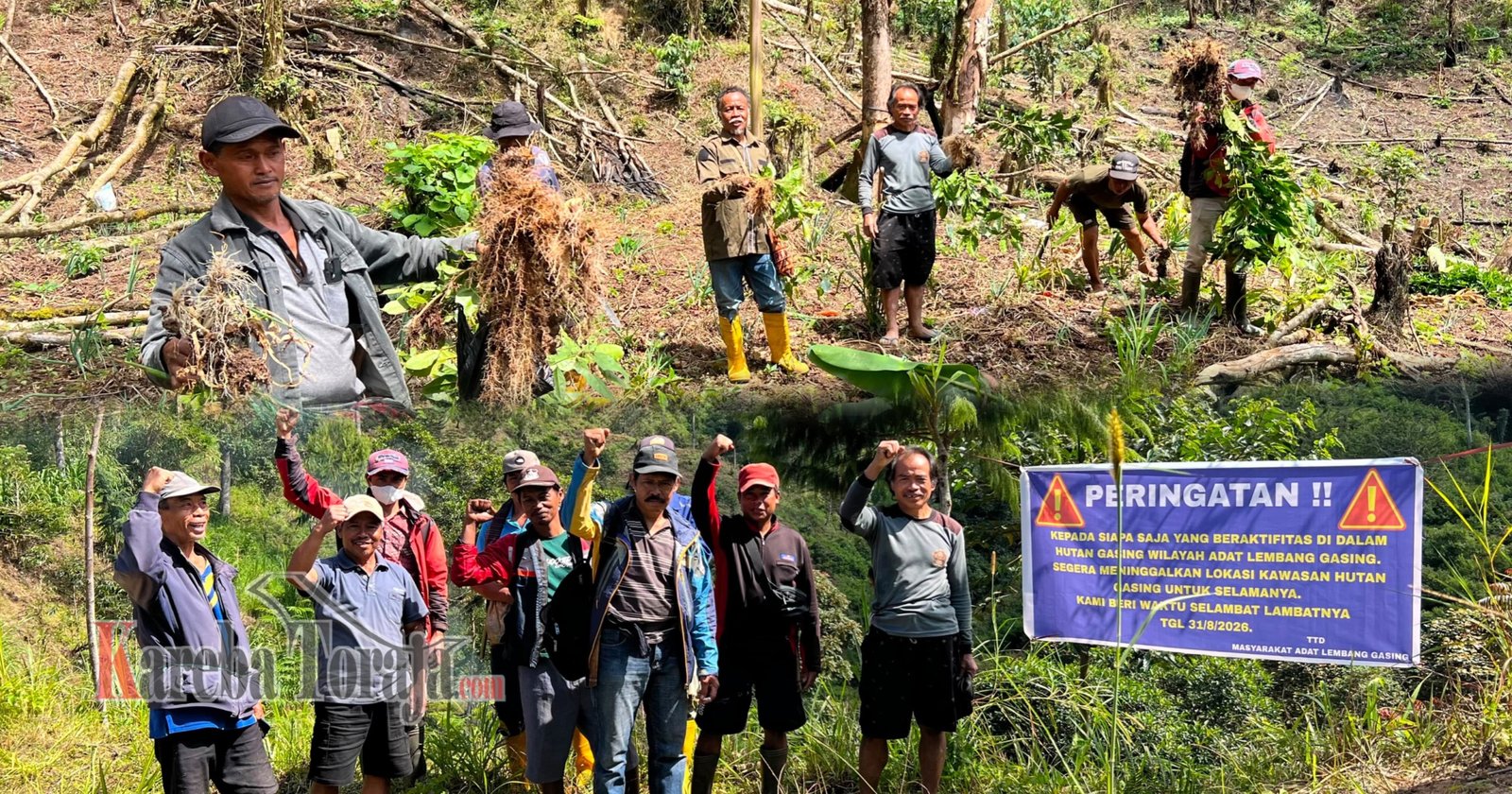 Masyarakat Adat Lembang Gasing Mengkendek Usir Paksa Penggarap yang Rusak Kawasan Hutan