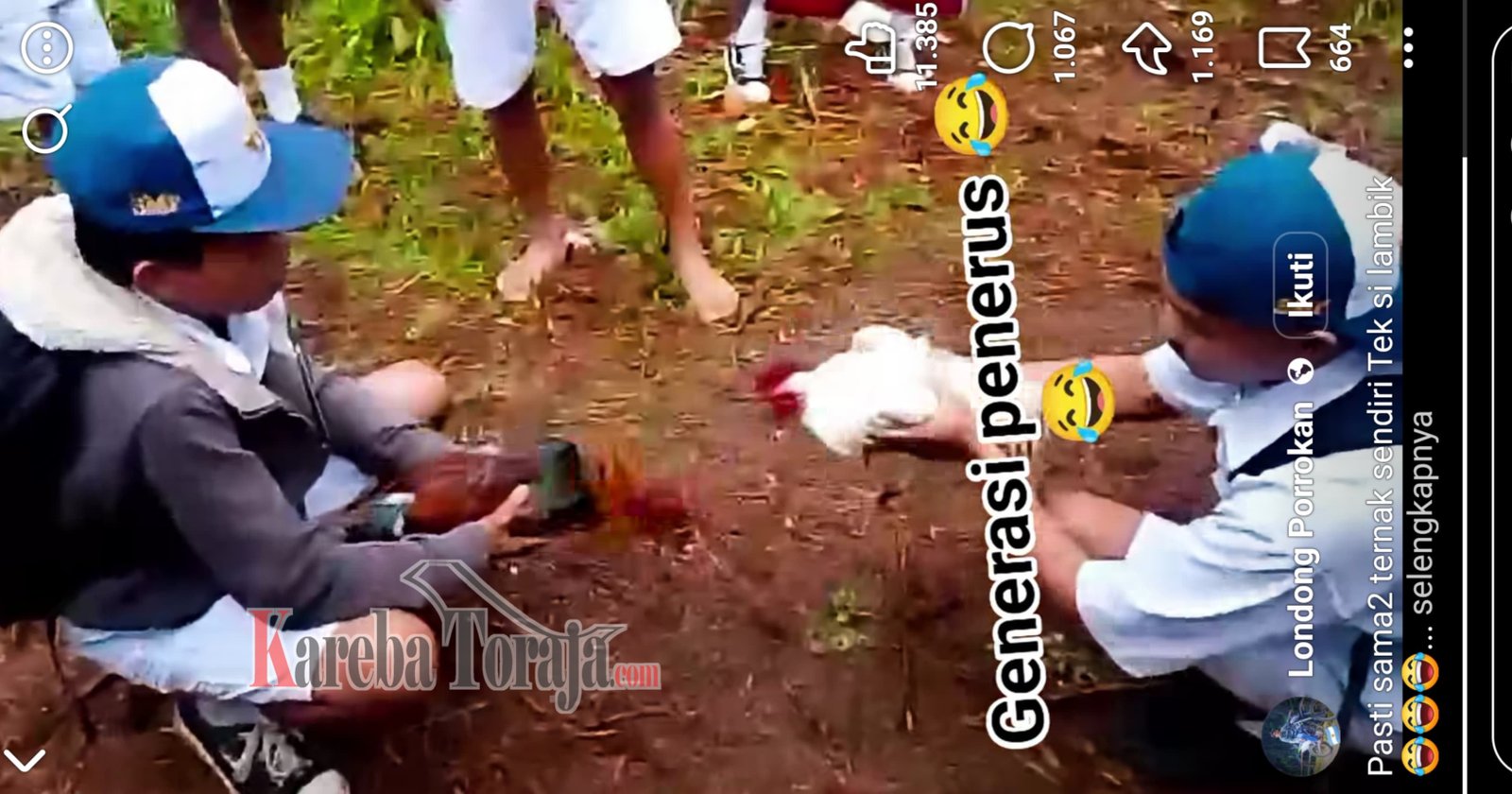 Viral di Media Sosial, Sejumlah Siswa Berseragam Sekolah di Bittuang Main Sabung Ayam Diduga Disertai Taruhan
