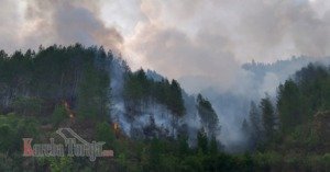 Sudah 2 Pekan Kebakaran di Simbuang Belum Teratasi, Api Mulai Lalap Kebun Kopi dan Usaha Getah Pinus serta Ancam Rumah Warga
