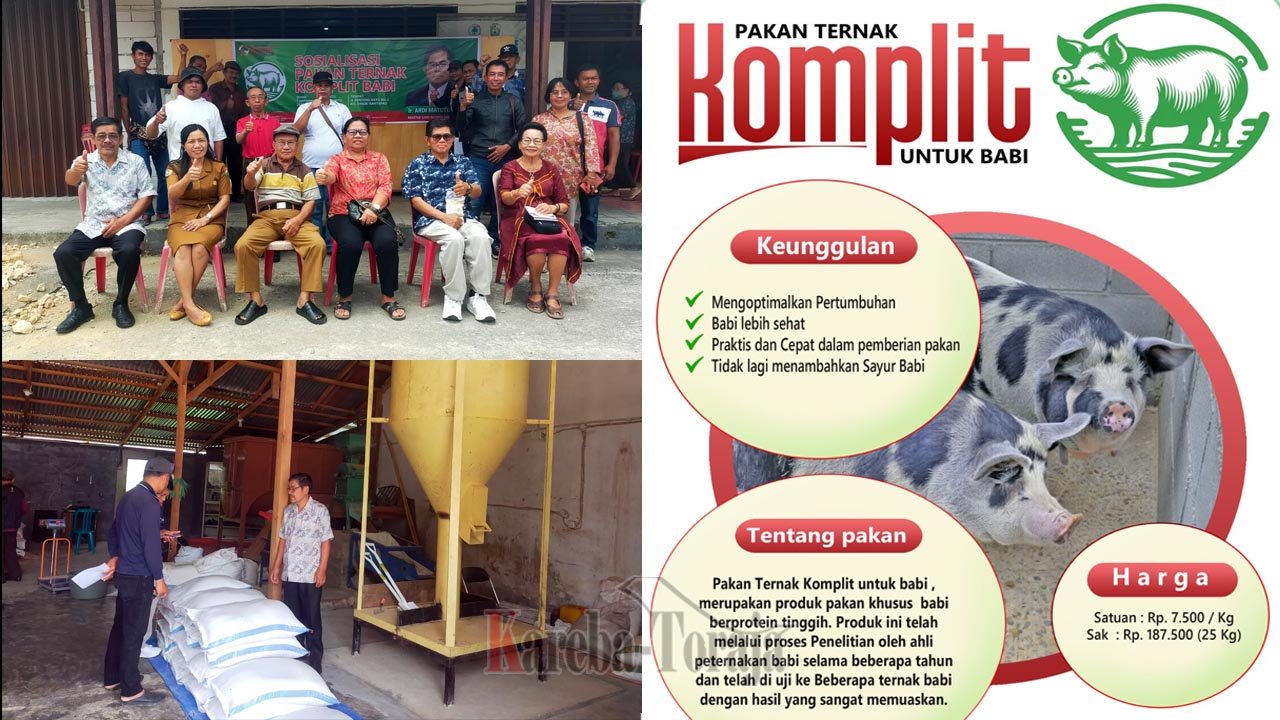 KUD Sane Rantepao Sosialisasikan Pakan Ternak Babi Unggulan KOMPLIT
