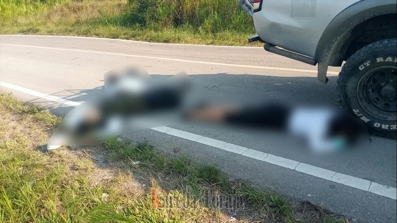 Tiga ASN Asal Toraja dan NTT Tewas Ditembak OTK di Jayawijaya, Papua Pegunungan