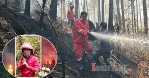 Petugas Pemadam Karhutla Gugur Tertimpa Pohon di Hutan Lindung Nanggala Toraja Utara