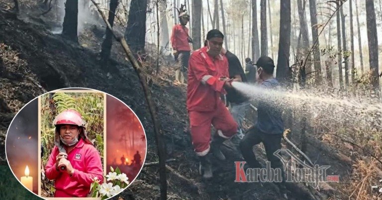 Petugas Pemadam Karhutla Gugur Tertimpa Pohon di Hutan Lindung Nanggala Toraja Utara