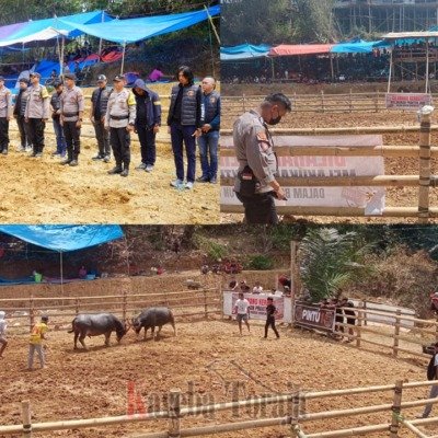 Antisipasi Judi, Polisi Awasi Kegiatan Ma’pasilaga Tedong di Tondon
