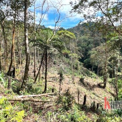 KPH Saddang I Akui Kecolongan Terkait Pengrusakan Kawasan Hutan di Lembang Gasing Mengkendek